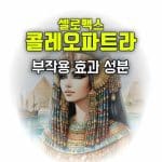 셀로맥스 콜레오파트라 효능 부작용