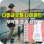 뉴온 다이글로필 다이어트 효능 부작용 성분
