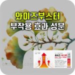 와이즈 부스터 효과 부작용