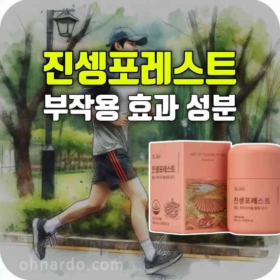 진셍포레스트 부작용 효능 성분