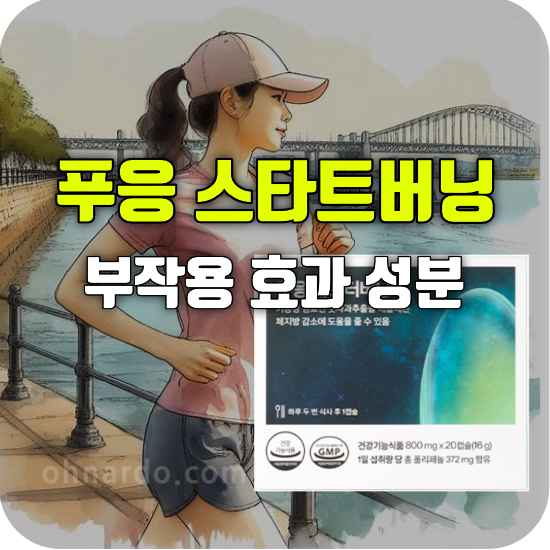 푸응 스타트버닝 부작용 효과 성분