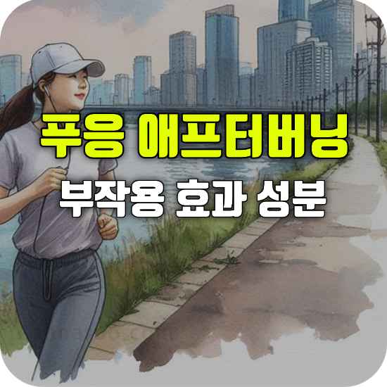푸응 애프터버닝 부작용 효과 성분