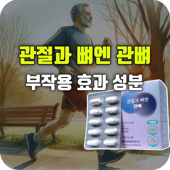 관절과 뼈엔 관뼈 부작용 효능 성분