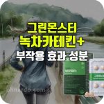 그린몬스터 녹차카테킨 효과 부작용 성분