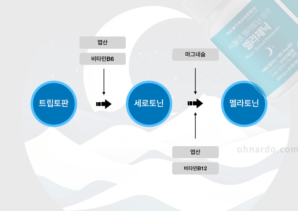 멜라토닌 합성 메커니즘