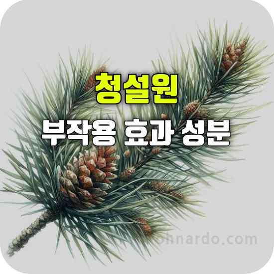 청설원 부작용 효과 성분