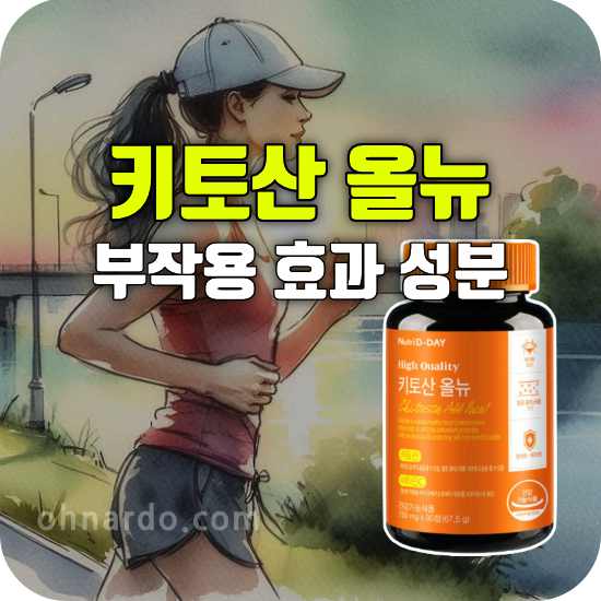 키토산 올뉴 부작용 효능 성분