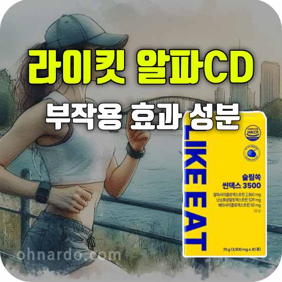 라이킷 알파CD 효능 알파시클로덱스트린 부작용 성분 복용법