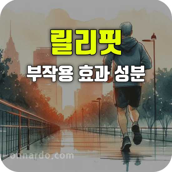 릴리핏 부작용 효능 성분 복용법