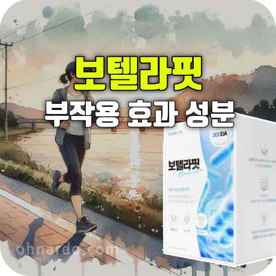 보텔라핏 부작용 효과 성분 섭취 방법