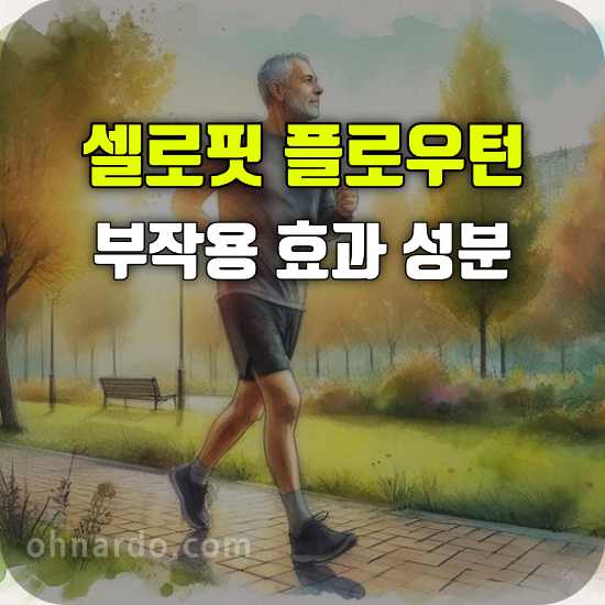 셀로핏 플로우턴 부작용 효능 성분