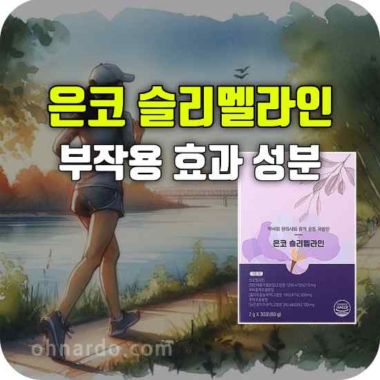 은코 슬리멜라인 부작용 효과 성분