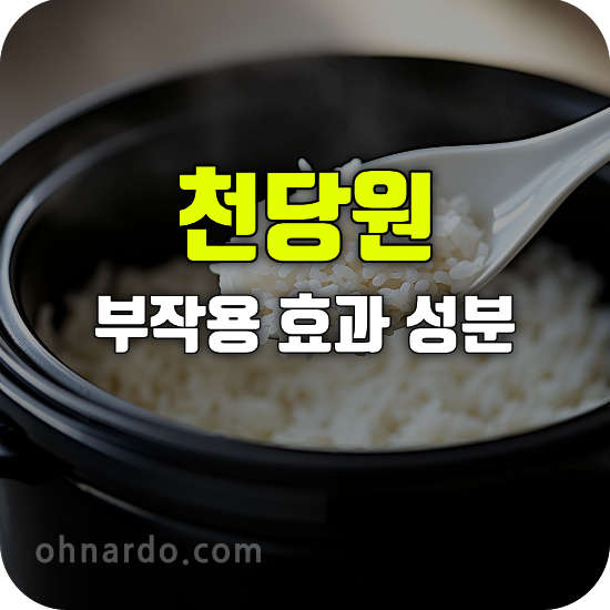 천당원 부작용 효능 성분