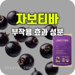 최화정 자보티바 효능 부작용