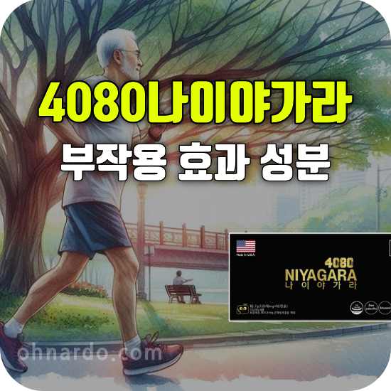 4080나이야가라 부작용 효능 성분 복용법