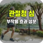 관절청 심 효능 부작용 성분 복용법 관절약 관절염 개선 효과