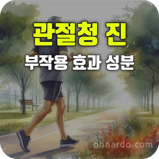 관절청 진 부작용 효능 성분