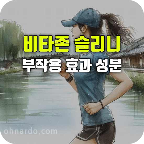 비타존 슬리니 부작용 효과 부작용 성분