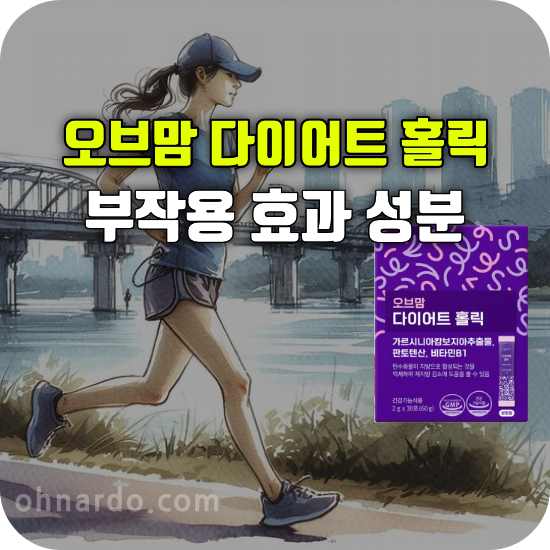 오브맘 다이어트 홀릭 부작용 효능 성분