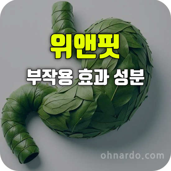 위앤핏 부작용 효능 복용법 위염 역류성 식도염 관련 성분