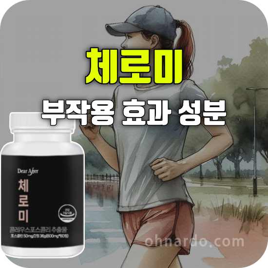 체로미 부작용 효과 성분 복용법