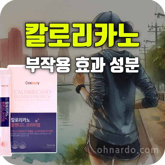 칼로리카노 부작용 효과 성분