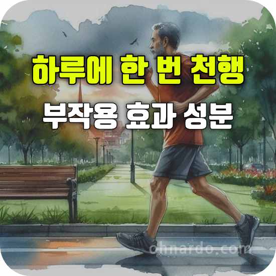 하루에 한 번 천행 부작용 효과 성분 복용법