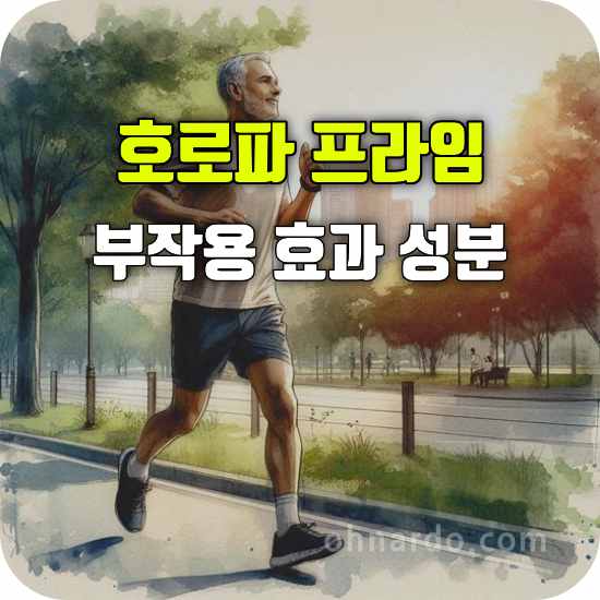 호로파 프리미엄 부작용 효능 성분