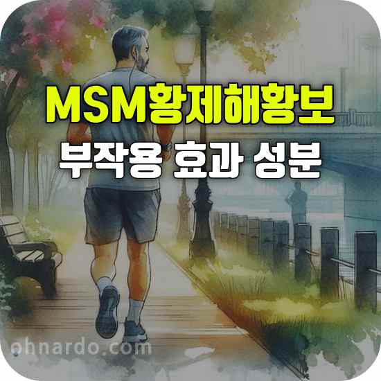 MSM 황제해황보 부작용 효능 성분 복용법 관절약