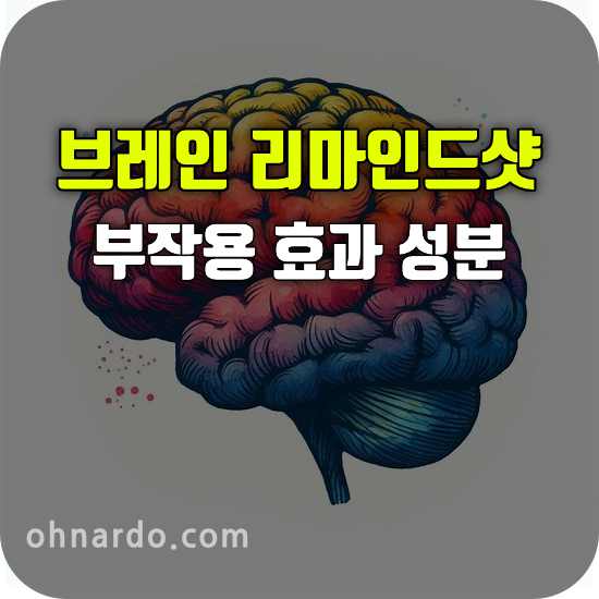 브레인 리마인드샷 부작용 효능 성분