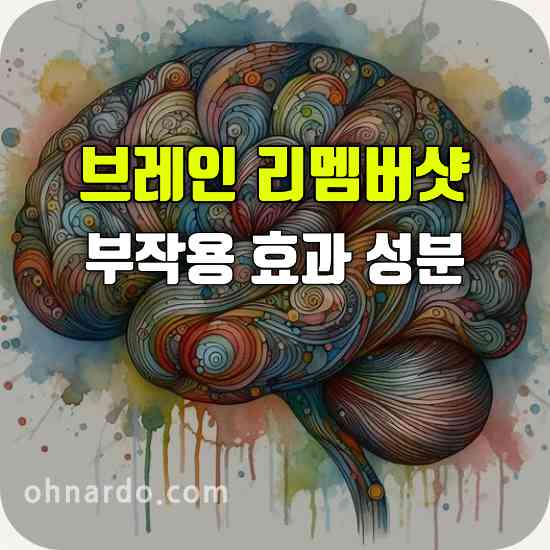 브레인 리멤버샷 부작용 효능 성분