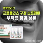 엔젯오리진 프로폴리스 스프레이 효능 부작용