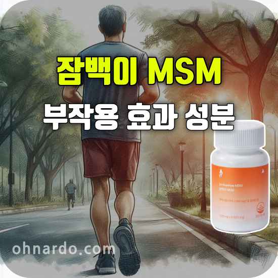 잠백이 MSM 부작용 효능 성분