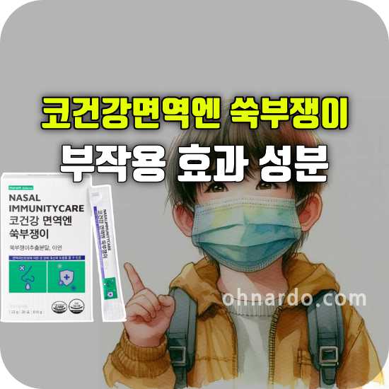 코건강 면역엔 쑥부쟁이 부작용 효과 성분