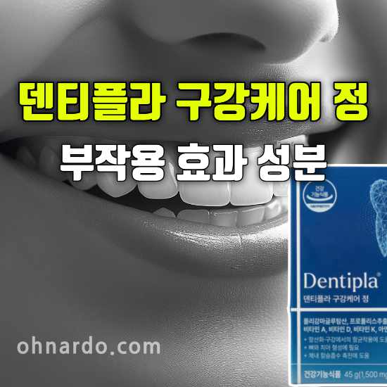 덴티플라 구강케어 정 부작용 효능 성분