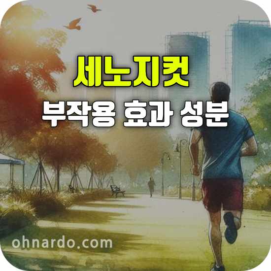 세노지컷 부작용 효과 성분