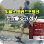 위랩스 블러드 포뮬러 효과 부작용