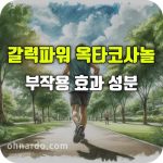 갈력파워 옥타코사놀 효과 부작용