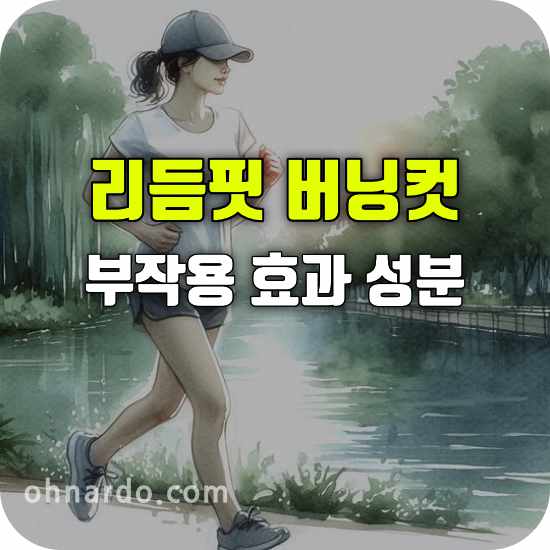 리듬마임 리듬핏 버닝컷 부작용 효과 성분