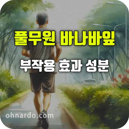 풀무원 바나바잎 부작용 효능 성분