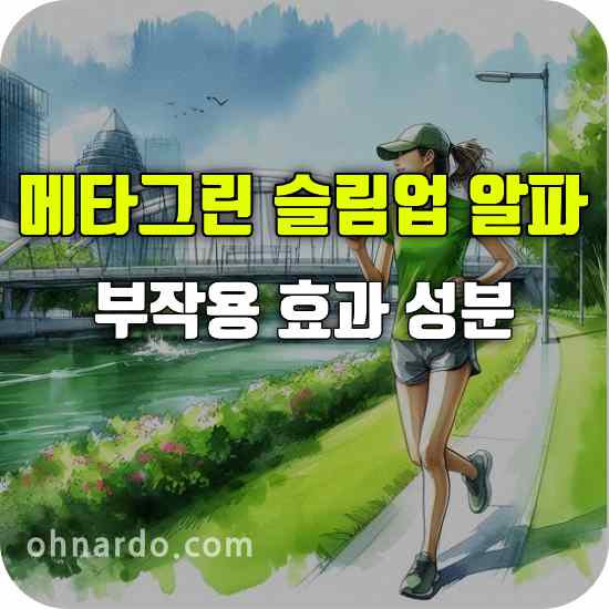 메타그린 슬림업 알파 부작용 효과 성분