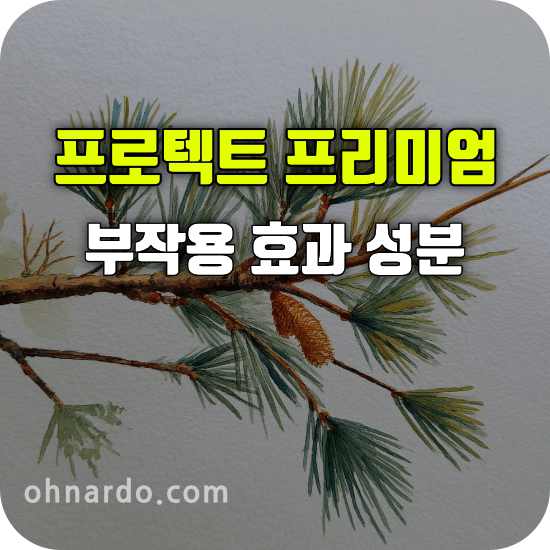 프로텍트 프리미엄 부작용 효능 성분