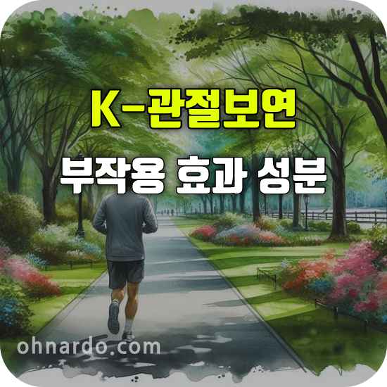 K-관절보연
