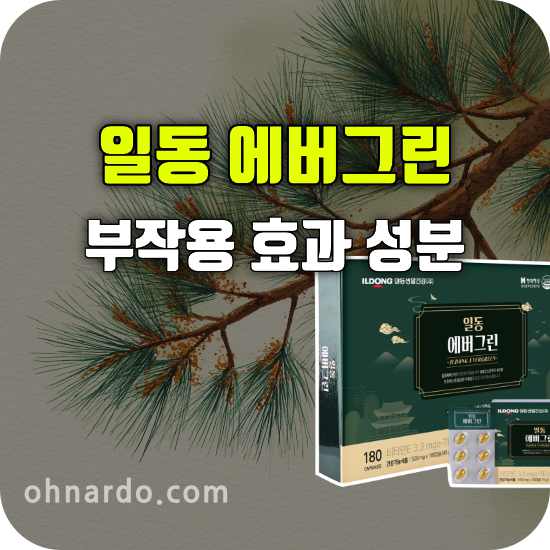 일동 에버그린 부작용 효능 송침유