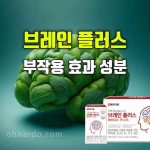 브레인 플러스 효능 부작용