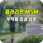 클라리온 엠에스엠 효능 부작용 복용법