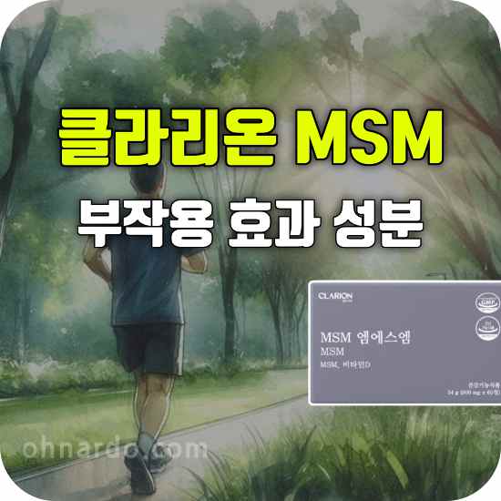 클라리온 MSM 부작용 효능 복용법