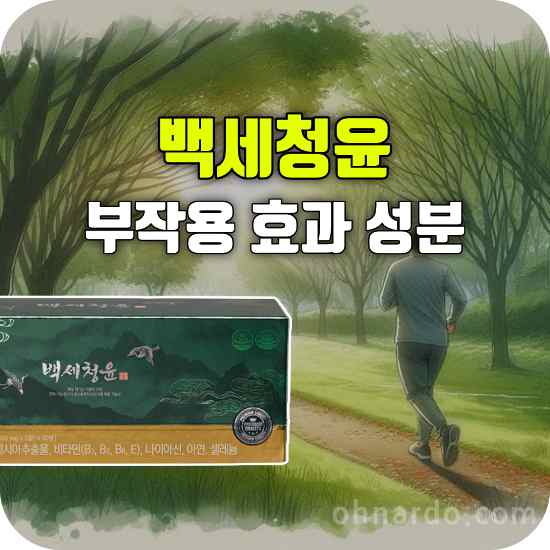 백세청윤 부작용 효능 성분