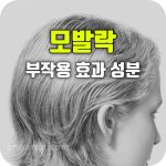 모발락 효과 부작용 탈모 영양제
