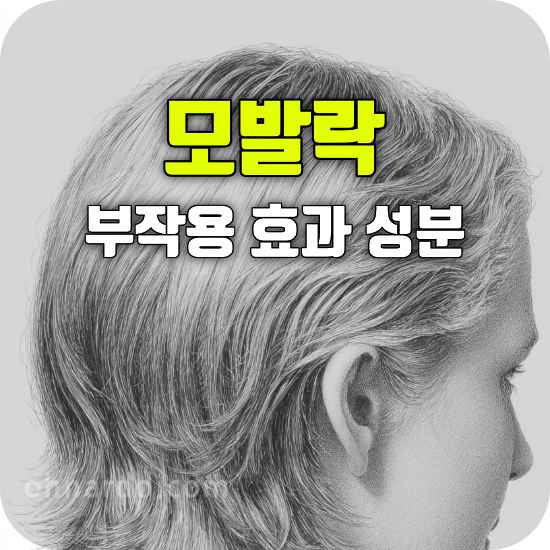 모발락 모발 영양제 부작용 효능 성분 섭취방법